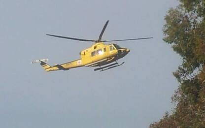 Boscaiolo si ferisce mentre taglia una pianta: soccorso con elicottero