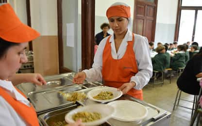 Tar di Bolzano, menu vegano deve essere servito nelle mense a scuola