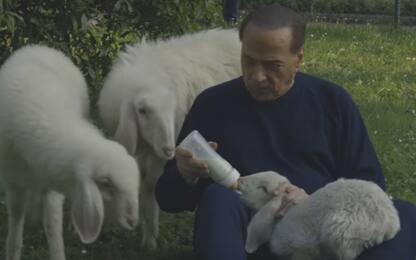 Silvio Berlusconi salva cinque agnelli dal pranzo di Pasqua: VIDEO