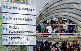 universita laurea