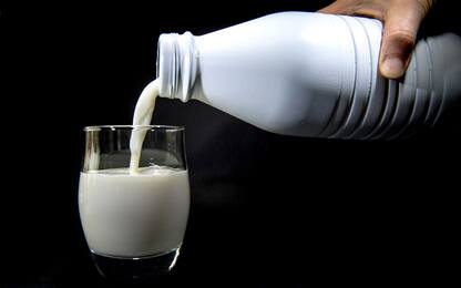 Cinque cose che forse non sapevi su latte e latticini 