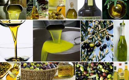 Coldiretti, nel 2019 olio d'oliva straniero in 2 bottiglie su 3