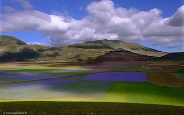 01-mostra-castelluccio-norcia-ansa