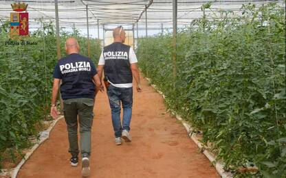 Caporalato a Ragusa, 26 operai in condizioni disumane: 2 arresti