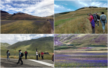 collage_castelluccio