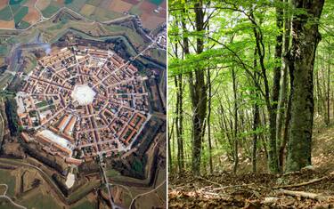 Unesco, faggete e Opere di difesa veneziane sono patrimonio Umanità