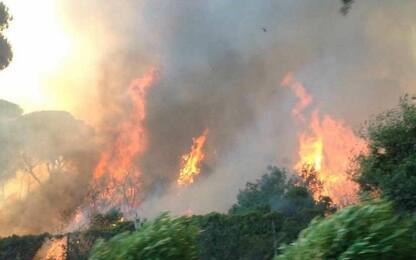 Incendi, appiccava fuoco a Castel Fusano: arrestata una terza persona