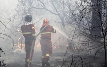 Incendio Castelfusano: Legambiente, in fumo '65 campi da calcio'