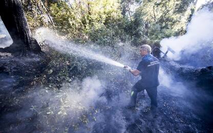 Emergenza incendi, Mattarella: "Azioni criminali da punire con forza"