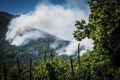 Parco del Vesuvio, sterpaglie a fuoco: indagini in corso