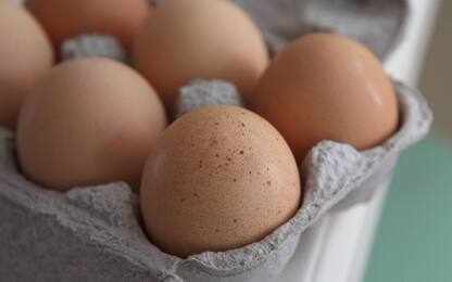 Asti, non erano in regola con l'etichetta: sequestrate 300mila uova