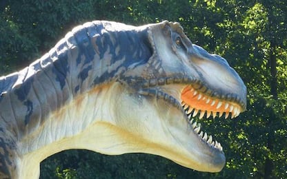 La mostra sui dinosauri a Monza. FOTO