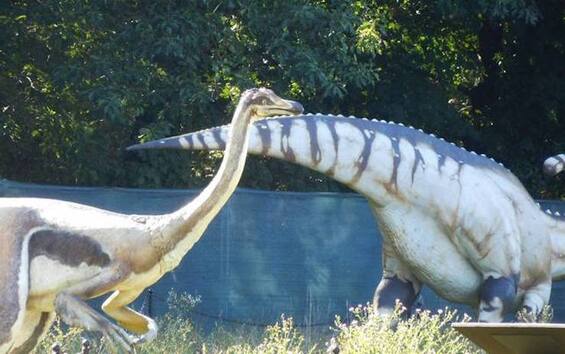 Rara forma di tumore scoperta nella coda di un dinosauro | Sky TG24