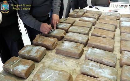 Sequestrati oltre 52 kg di cocaina a Gioia Tauro