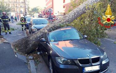 Milano, albero su auto per il vento