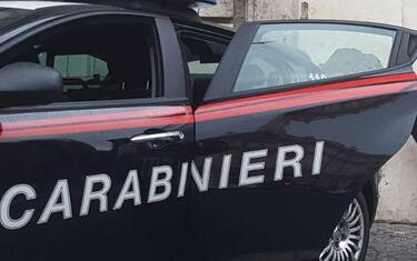 Ansa_carabinieri