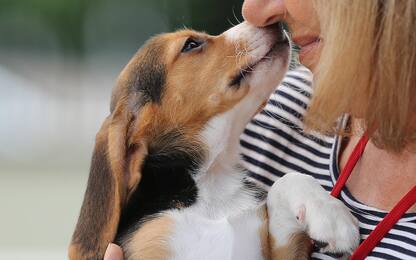 Pet therapy, cane in ospedale ha migliorato l’esperienza dei pazienti 