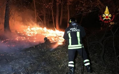 Incendi in Lombardia, Regione chiederà stato d'emergenza nazionale