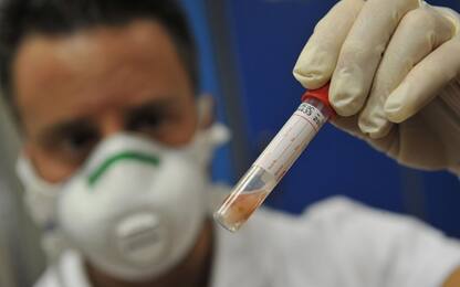 Coronavirus, in Piemonte 42 nuovi casi positivi