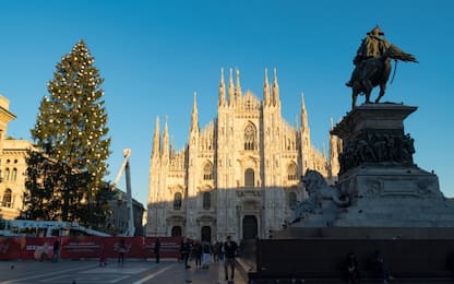 Milano, Sky regala alla città l'albero di Natale più grande di sempre