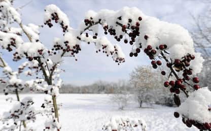 Ondata di freddo su Italia fino a Natale: temperature in calo e gelate