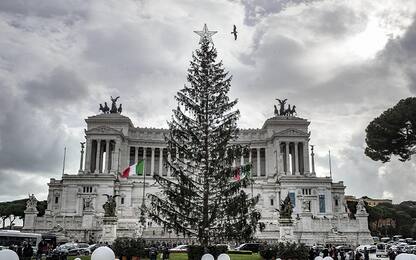 Roma: Spelacchio "è morto", sui social l'ironia sull’albero di Natale