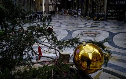 Rubato l’albero di Natale a Napoli. FOTO