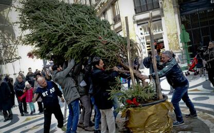 "Sparicchio", l'albero di Natale rubato, torna in Galleria a Napoli 