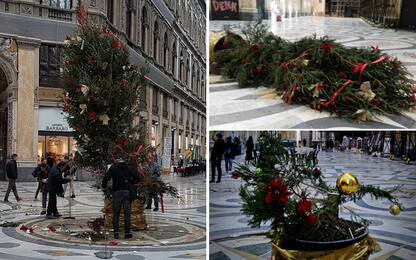 Napoli, dura vita dell’albero di Natale
