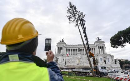 Roma saluta Spelacchio: rimosso l’albero