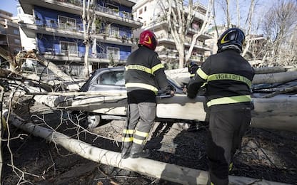 Alberi cadono su automobili a Roma: due persone ferite