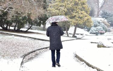 neve_ansa