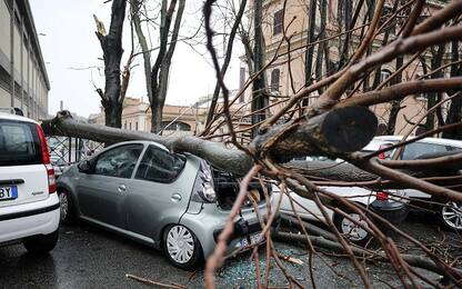 Maltempo a Roma, alberi sulle auto in sosta: ferita una donna
