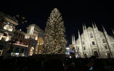 Albero Di Natale Vero O Artificiale L Impatto Ambientale Sky Tg24