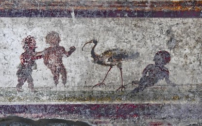 Musei, domeniche gratis: negli scavi di Pompei boom di presenze