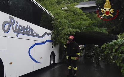 Firenze, albero cade su un autobus: 14 feriti, nessuno è grave
