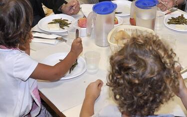 Molesta a scuola alunna di 8 anni: arrestato maestro nel Bresciano
