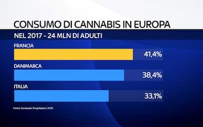 Droga, consumo record di cannabis: ne fa uso 1 italiano su 3
