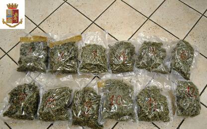Brescia, sequestrati 43 chili di droga: 11 arresti
