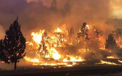 Decine di incendi negli Stati Uniti occidentali: 1 morto in California