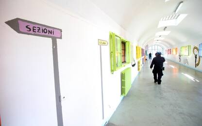 Topi nel carcere di Opera, anche in infermeria: i detenuti protestano