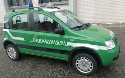 Caserta, demolita un’officina meccanica abusiva