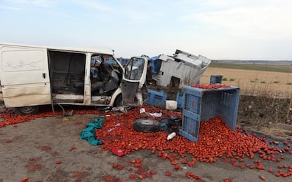 Foggia, schianto contro tir carico di pomodori: muoiono 4 braccianti