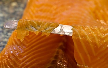 Salmone_GettyImages-452445305