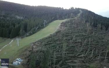 Maltempo sulle Dolomiti, la strage degli alberi vista col drone. VIDEO