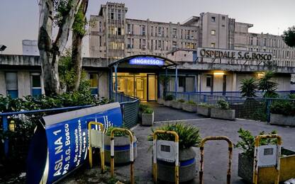 Napoli, formiche all’ospedale San Giovanni Bosco: sospesi 2 infermieri