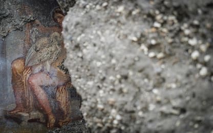 "Leda e il cigno", a Pompei ritrovato affresco