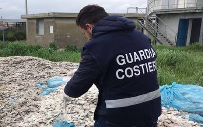 Agropoli, Guardia Costiera sequestra due impianti industriali