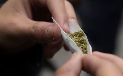 In auto con 3 etti di marijuana a bordo, 23enne denunciato nel Pavese