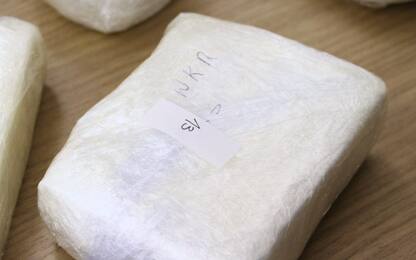 Vicenza, sequestrati 700 kg di cocaina nascosta in container di pelli